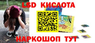 шишки Камышлов