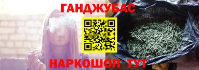 шишки Камышлов