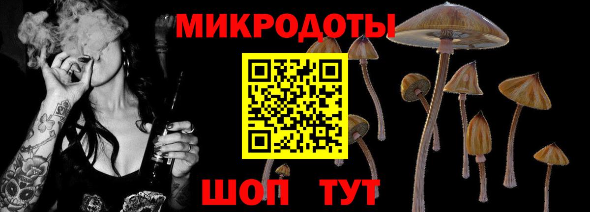 Галлюциногенные грибы мухоморы  Галлюциногенные грибы прущие грибы  Тольятти  как найти наркотики  Вход с VPN 